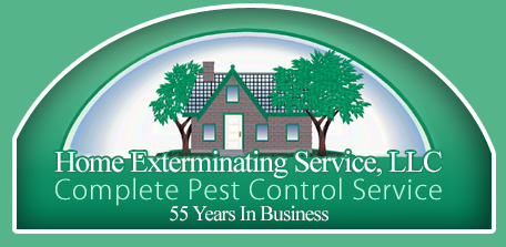 Pest Control Company in Dallas, TX